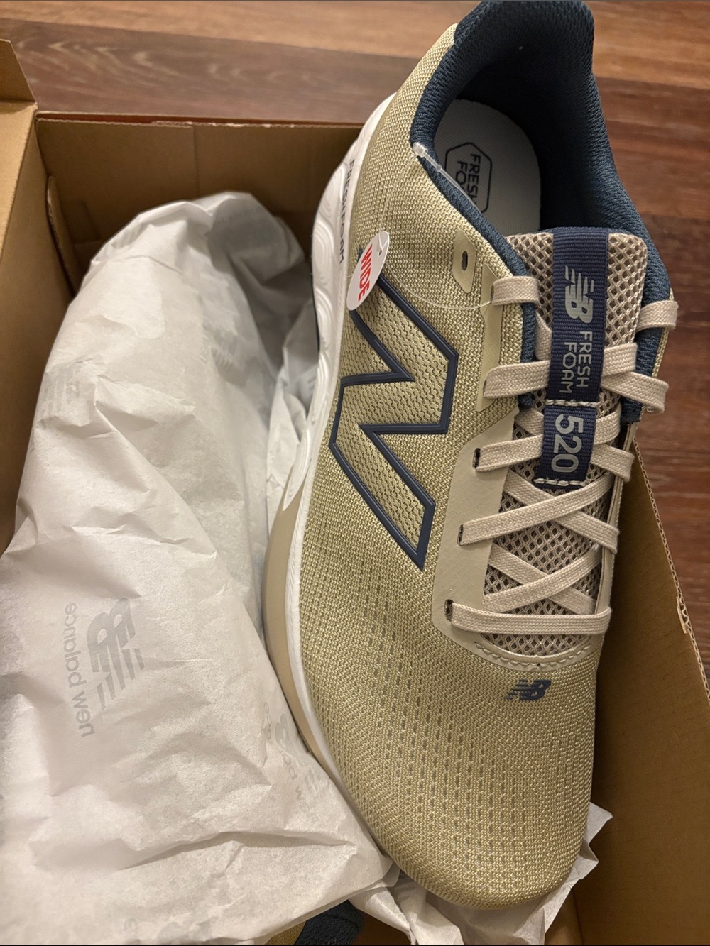 New Balance 520 v9 Men's Fresh Foam Running Shoes - Tan/Blue
